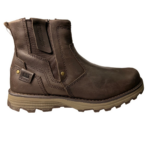 CAT/EVANDER 2 COFFEE BEAN - Image 4