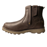 CAT/EVANDER 2 COFFEE BEAN - Image 5