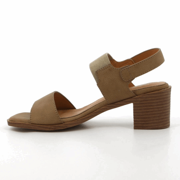 SOFT STYLE/ABRIANNA TAUPE 01569 - Image 2