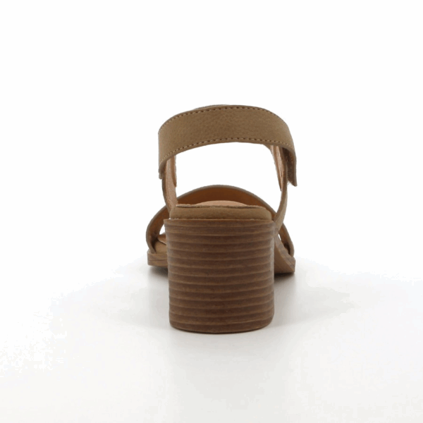 SOFT STYLE/ABRIANNA TAUPE 01569 - Image 5