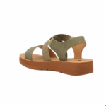 BUTTERFLY/XARA 6 OLIVE - Image 3