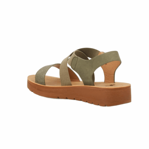 BUTTERFLY/XARA 6 OLIVE - Image 3