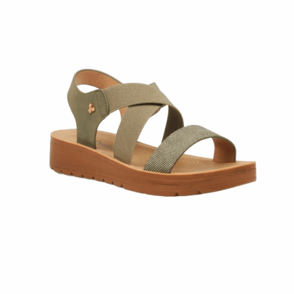 BUTTERFLY/XARA 6 OLIVE - Image 1