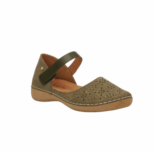 BUTTERFLY/CINDI 1 OLIVE - Image 1