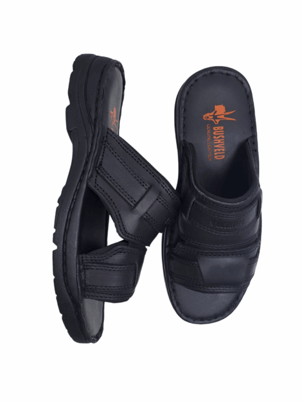 BUSHVELD/CLIFTON BLACK CL01 - Image 3