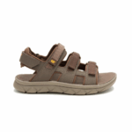 CAT/CADENT LIGHT BROWN - Image 2