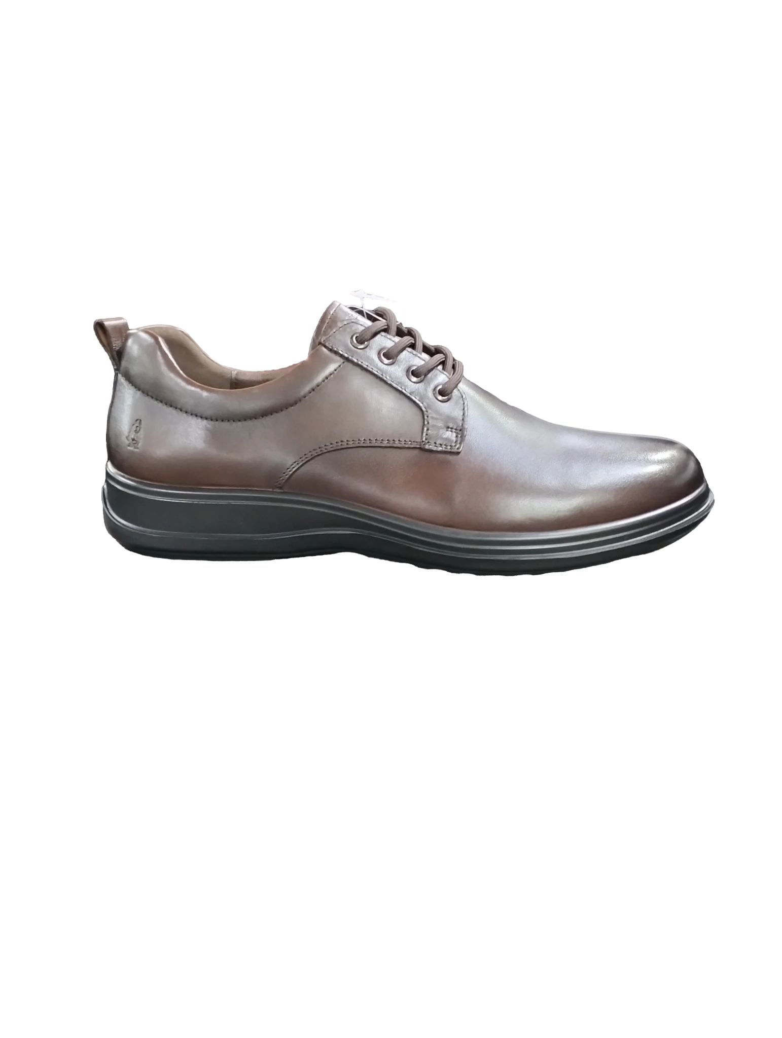 HUSH312-1 HUSH PUPPIES/STEFAN CHOC 01026 - Image 1