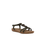 PIERRE CARDIN/CRAYDA OLIVE PCL10618