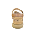 PIERRE CARDIN/CARA 2 BROWN MULTI PCL10974 - Image 2