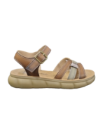 PIERRE CARDIN/CARA 2 BROWN MULTI PCL10974 - Image 5